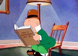 باگز بانی (دوربین عکاسی المر)